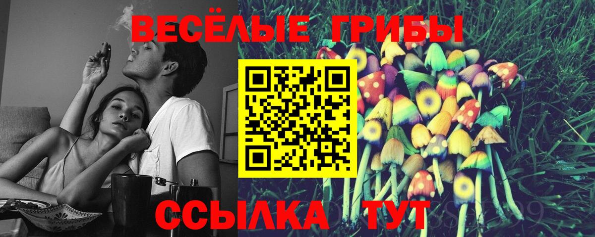 Псилоцибиновые грибы мицелий  Псилоцибиновые грибы Psilocybine cubensis  Ступино  Вход с VPN 